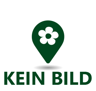 Gesteck länglich